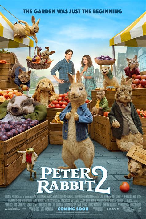 Watch peter rabbit film. Things To Know About Watch peter rabbit film. 